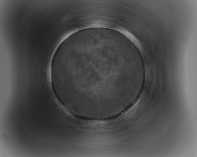 X0000100491238200806131243