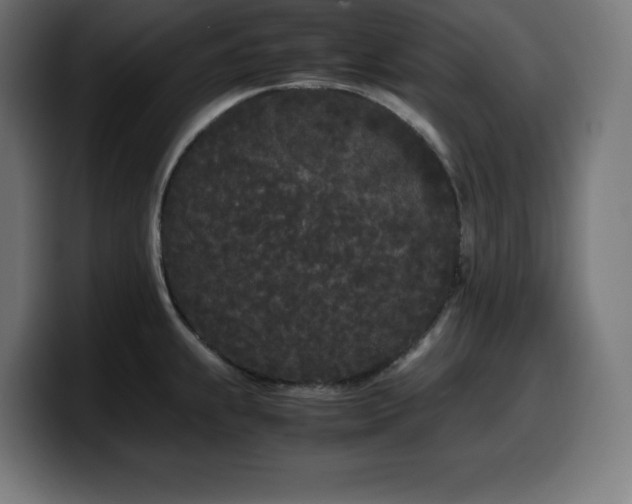 X0000100491239200806131243