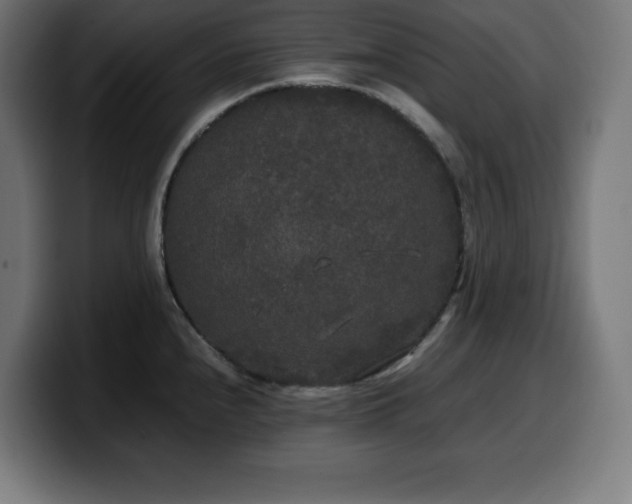 X0000100491240200806131243