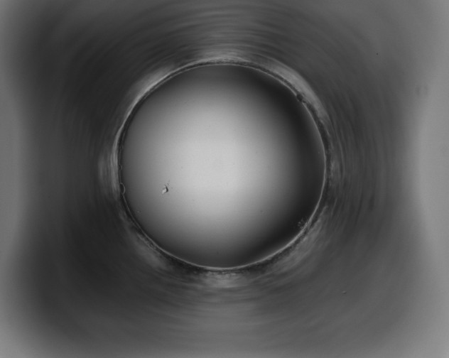 X0000100491242200806131243