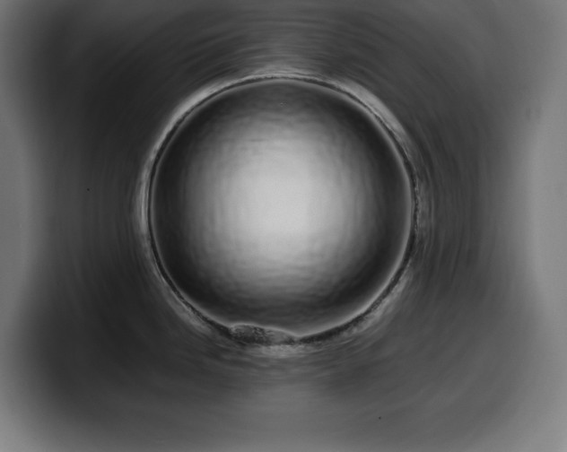 X0000100491246200806131244