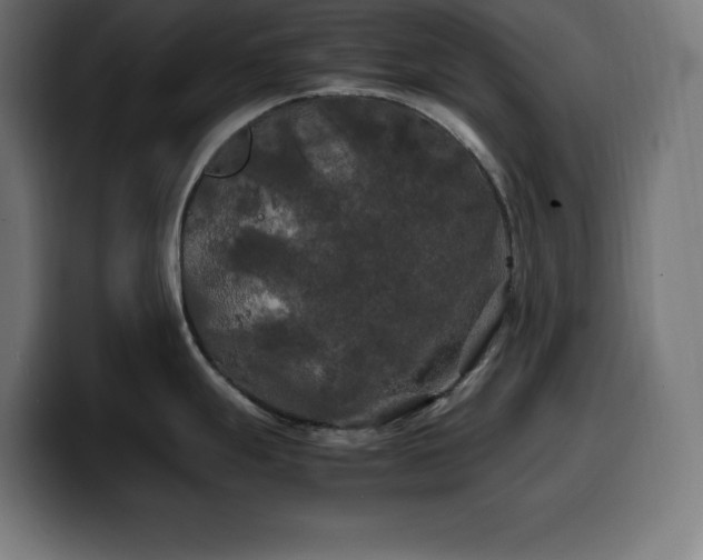 X0000100491247200806131244