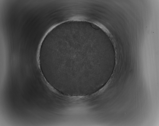 X0000100491248200806131244