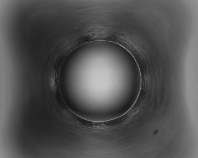 X0000100491250200806131243