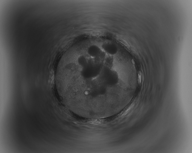 X0000100491251200806131243