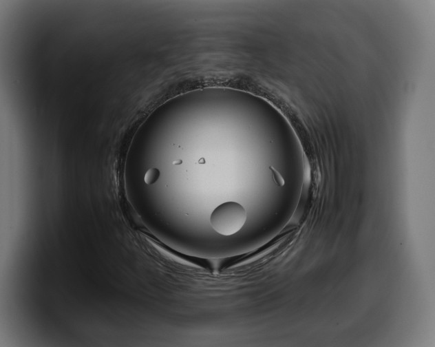 X0000100491252200806131243