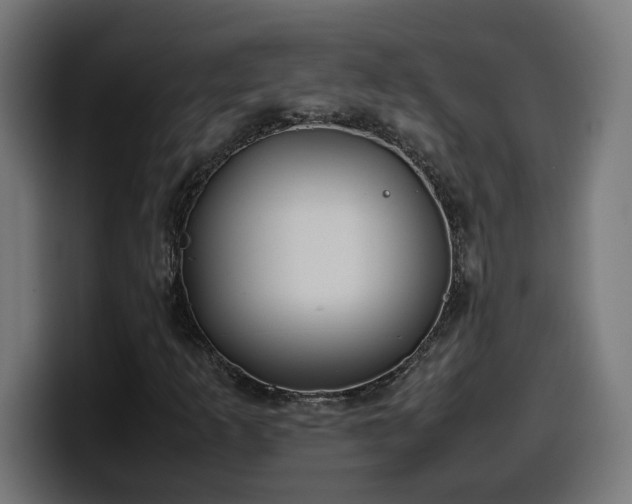 X0000100491253200806131243