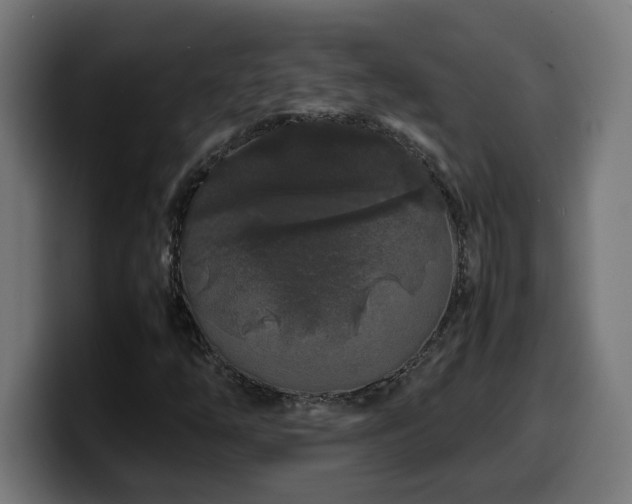 X0000100491254200806131243