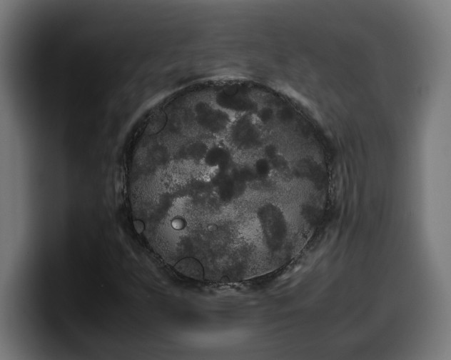 X0000100491255200806131243