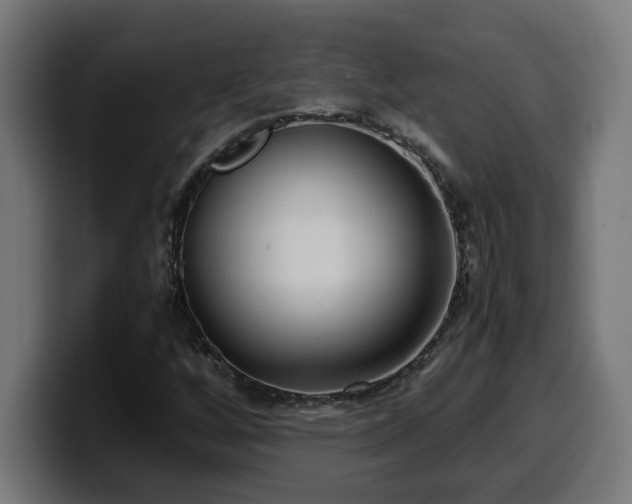 X0000100491256200806131243