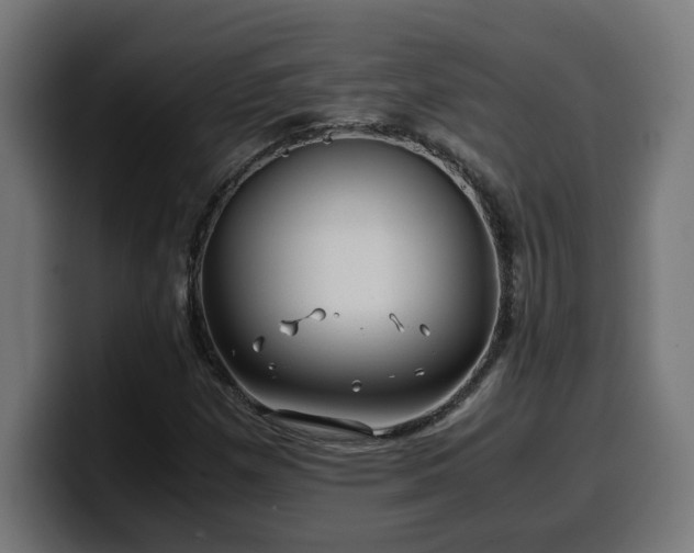 X0000100491257200806131243