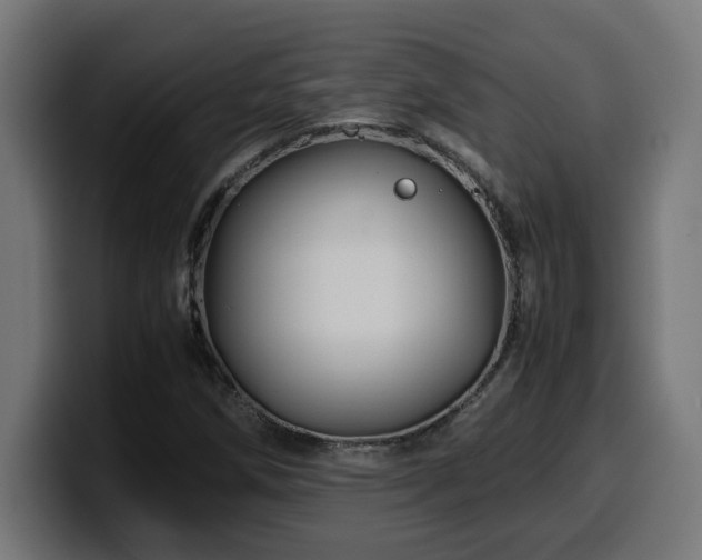 X0000100491258200806131243