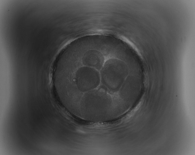 X0000100491259200806131243
