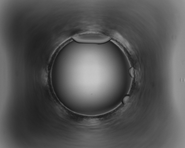 X0000100491260200806131243