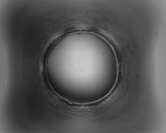 X0000100491261200806131243