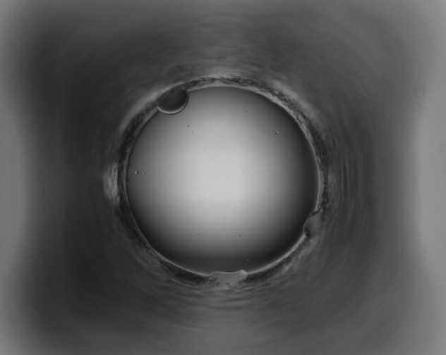 X0000100491262200806131243