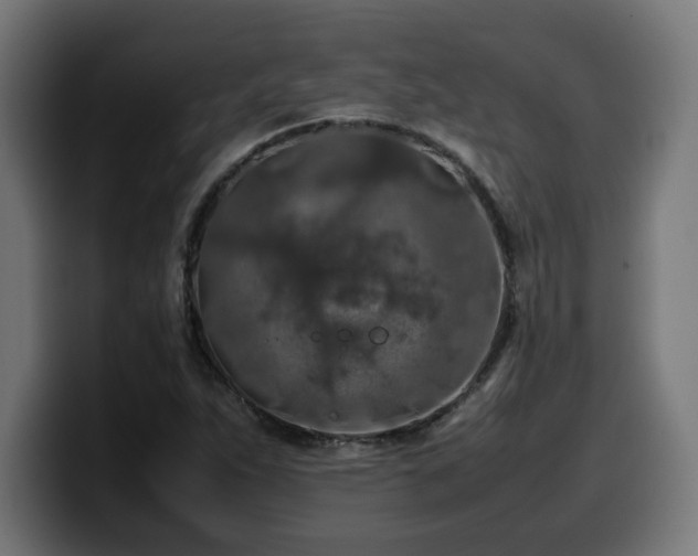 X0000100491263200806131243