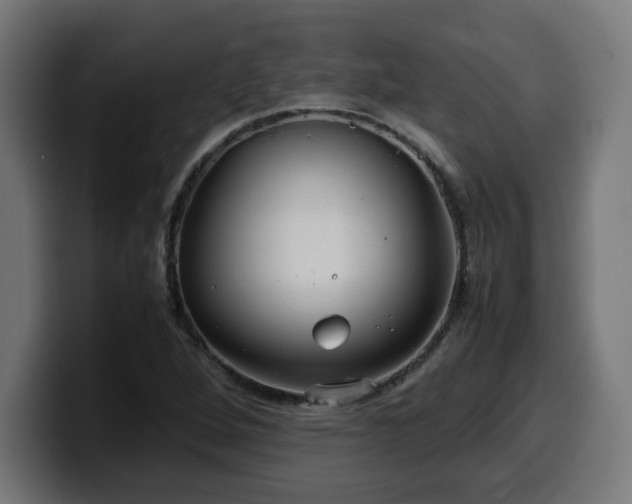 X0000100491264200806131243