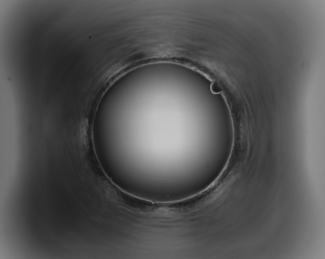 X0000100491265200806131243