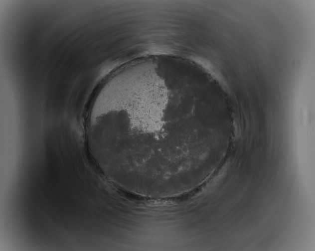 X0000100491266200806131243