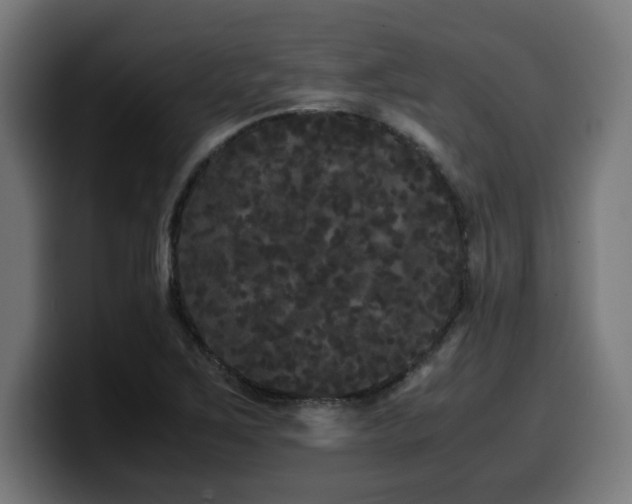 X0000100491267200806131243
