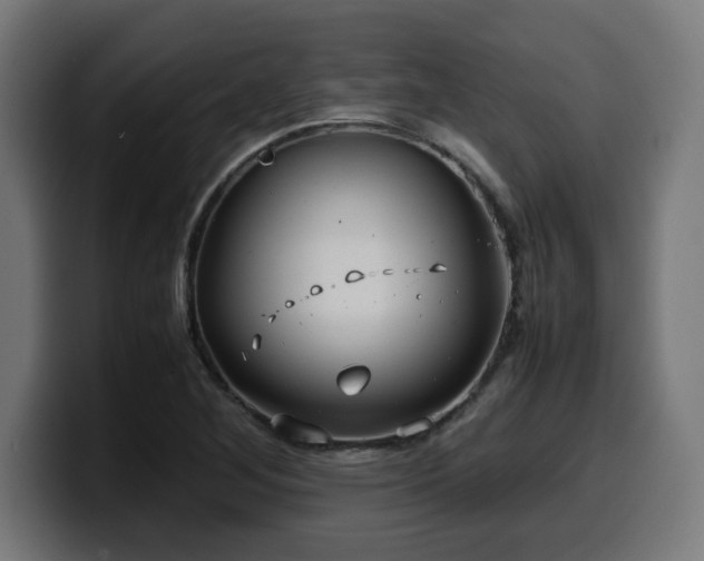 X0000100491268200806131243