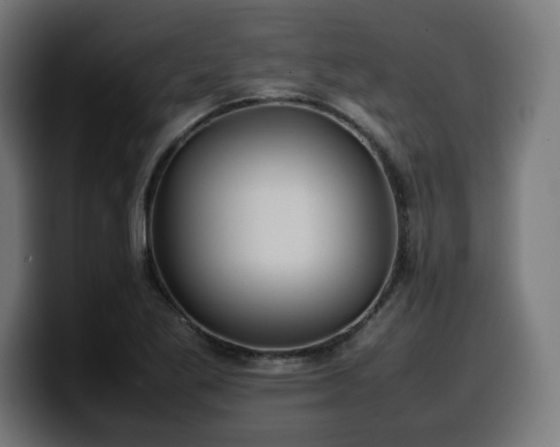 X0000100491269200806131243