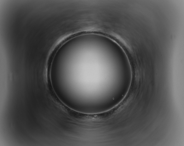 X0000100491270200806131243