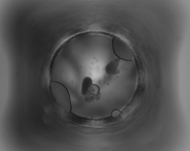 X0000100491271200806131243