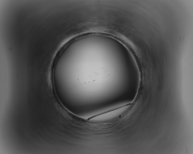 X0000100491272200806131243