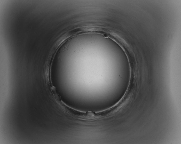 X0000100491273200806131243