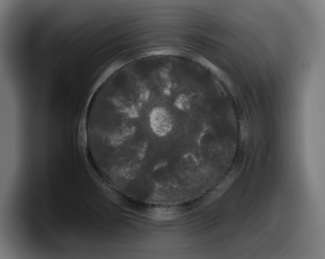 X0000100491274200806131243