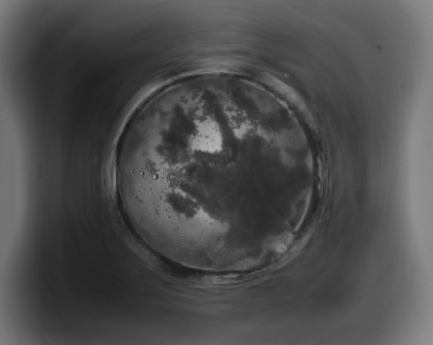 X0000100491275200806131243