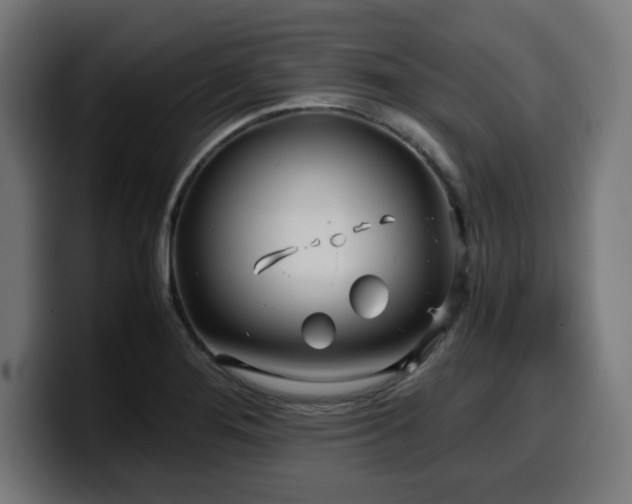 X0000100491276200806131243