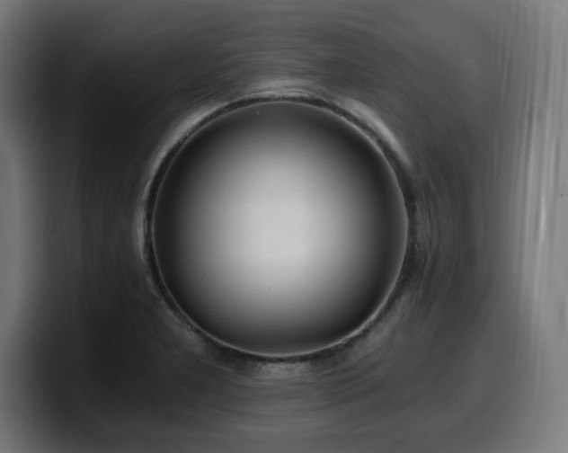 X0000100491277200806131243