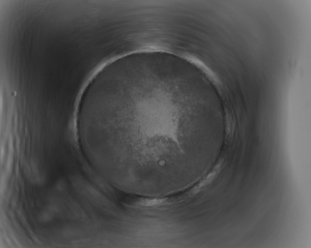 X0000100491278200806131243