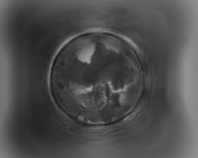 X0000100491279200806131243