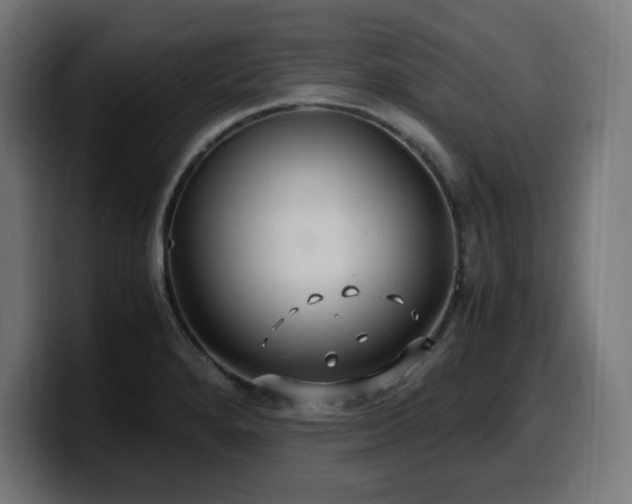X0000100491280200806131243
