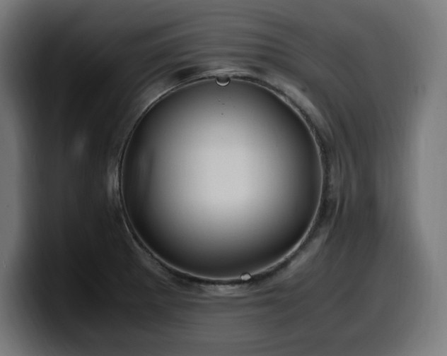 X0000100491281200806131243