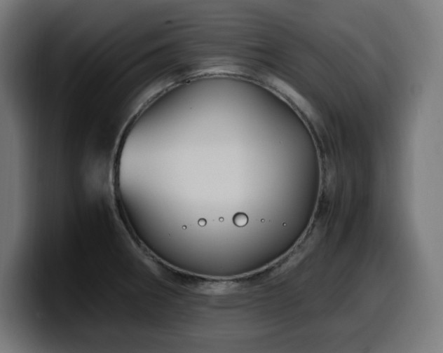 X0000100491282200806131242