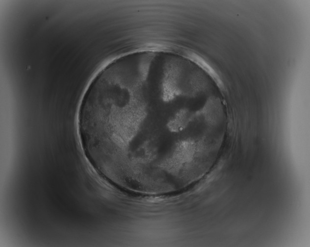 X0000100491283200806131242