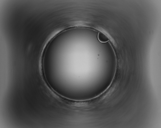 X0000100491285200806131242