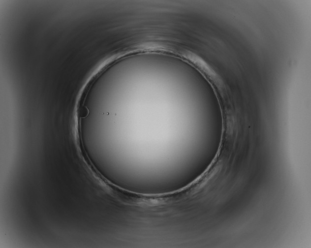 X0000100491286200806131242