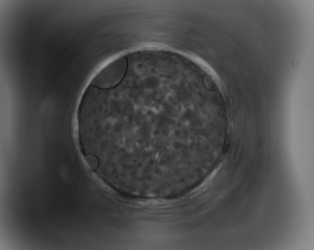 X0000100491287200806131242