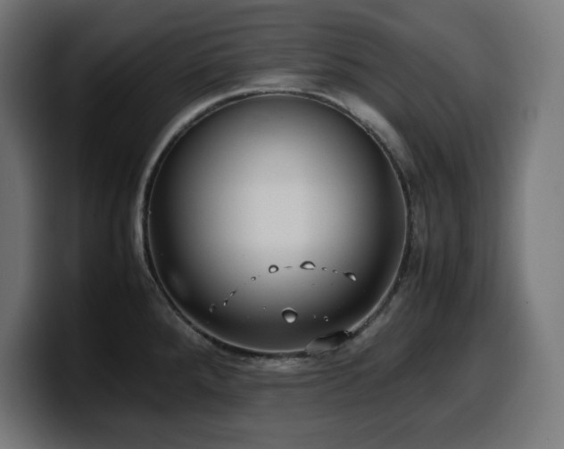 X0000100491288200806131242