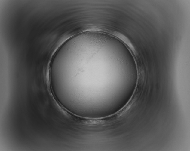 X0000100491290200806131242