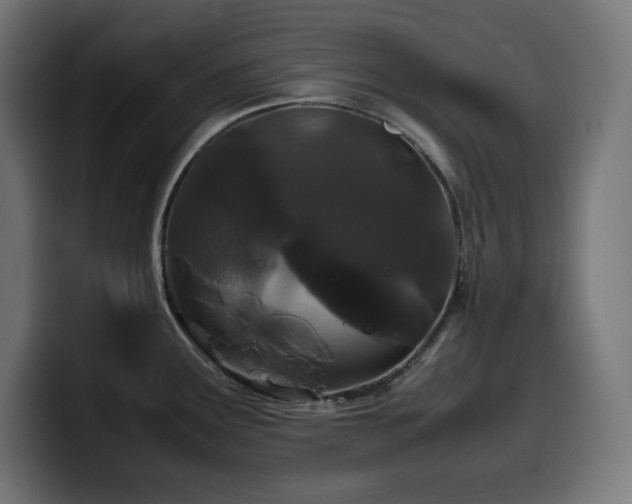 X0000100491291200806131242