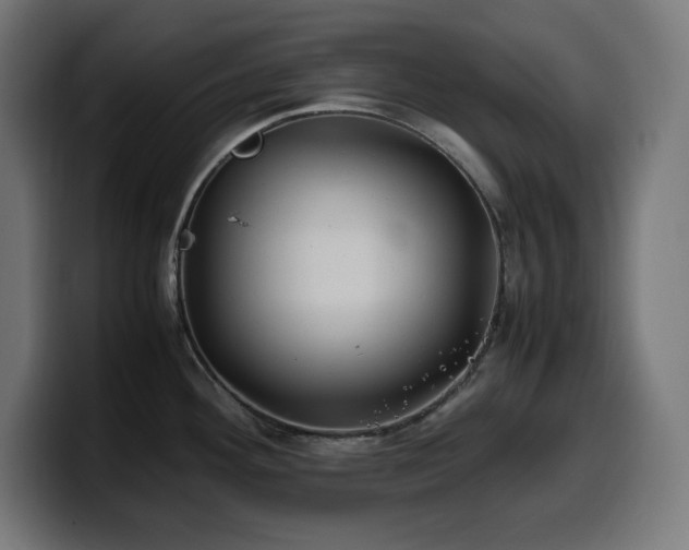 X0000100491292200806131242