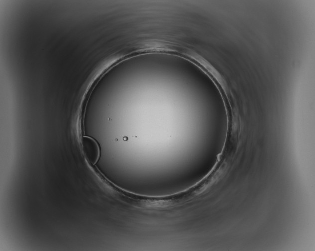 X0000100491293200806131242