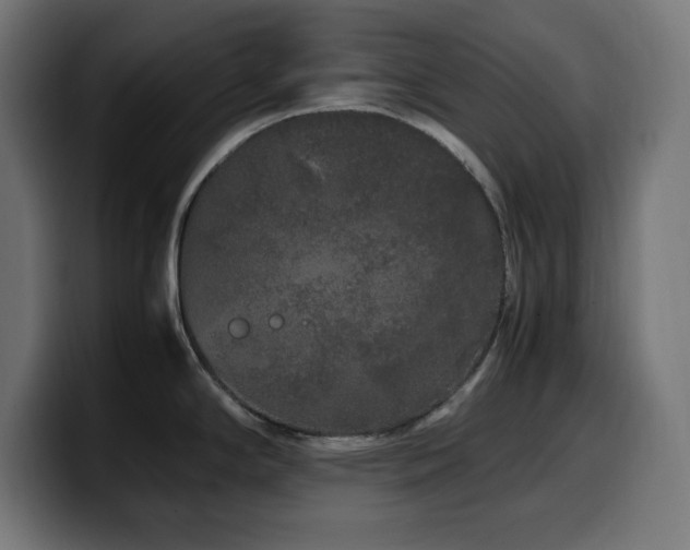 X0000100491294200806131242